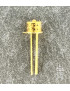CQF24